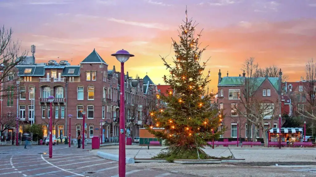 tree lighting in amsterdam