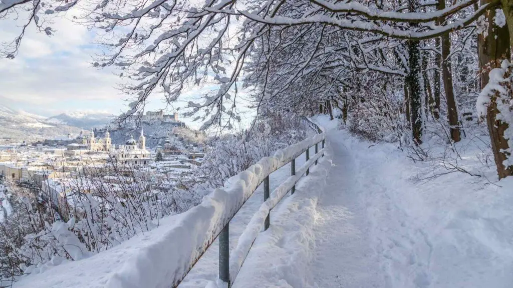 A pathway covered in snow