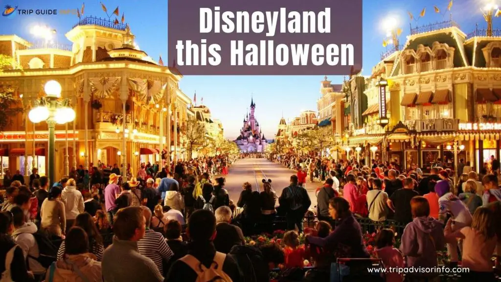 Disneyland this Halloween