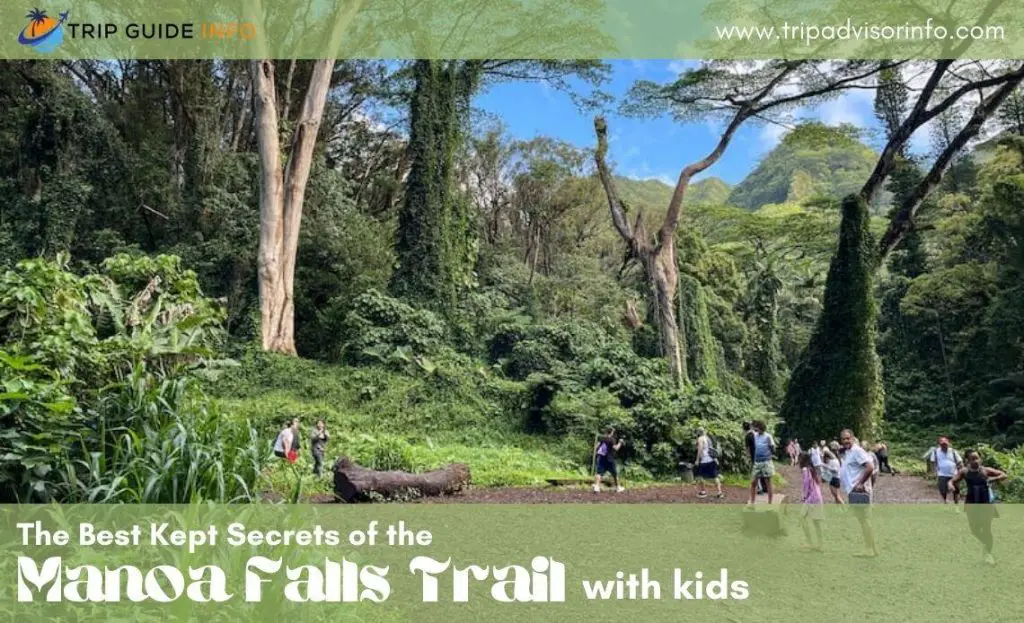 enjoy the manoa falls trail with kids