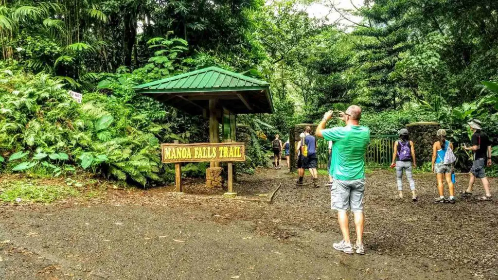  hiking Manoa falls trail