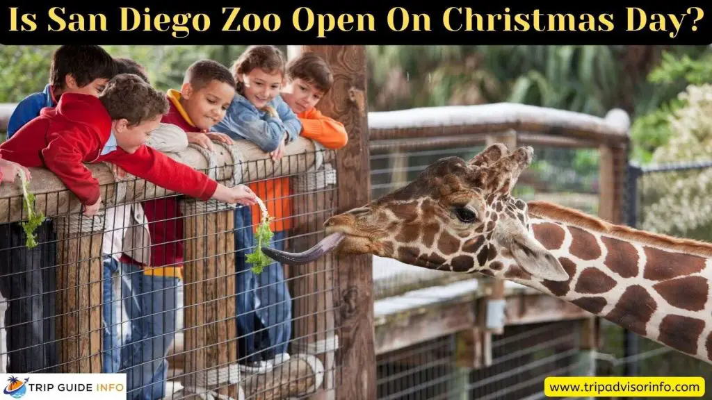 san diego zoo