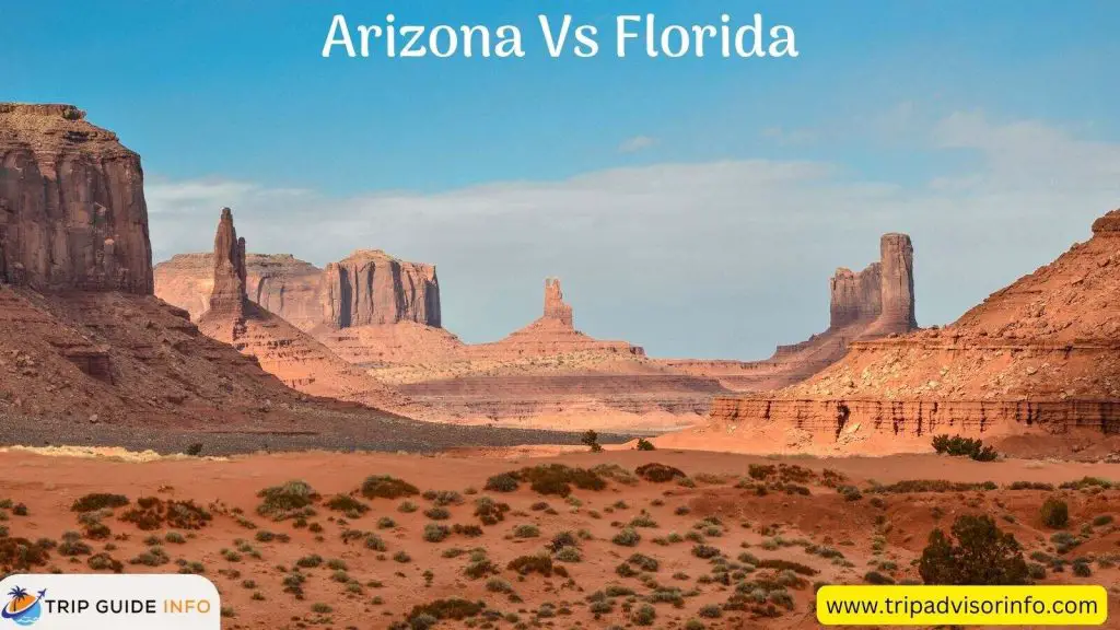 arizona vs Florida