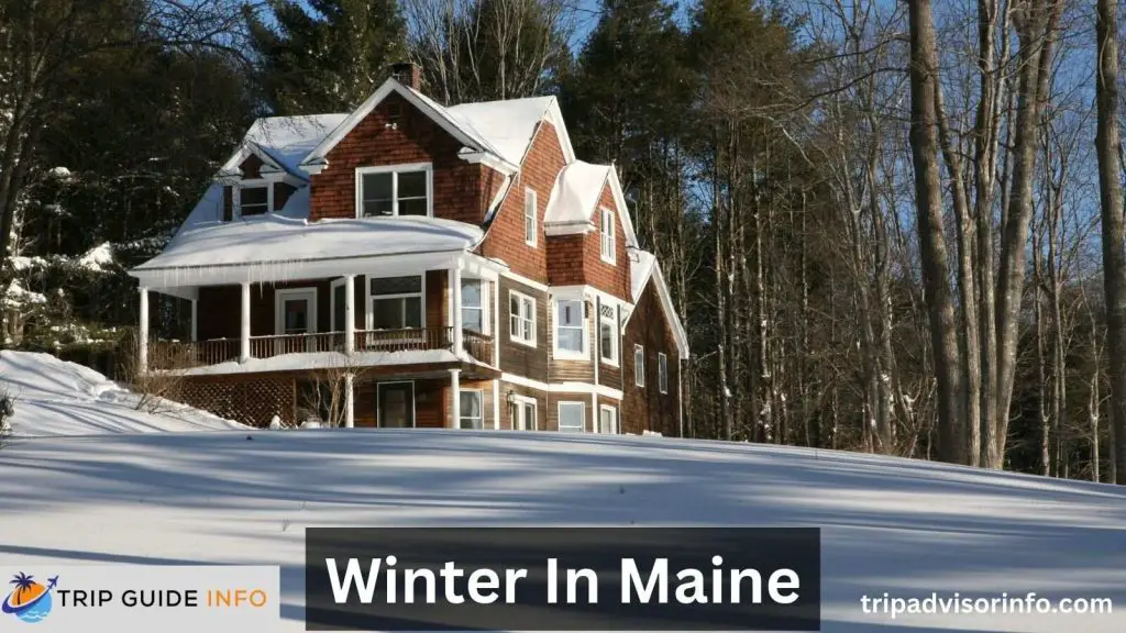 Winter In Maine