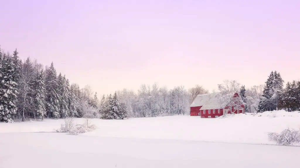 Winter wonderland in Maine