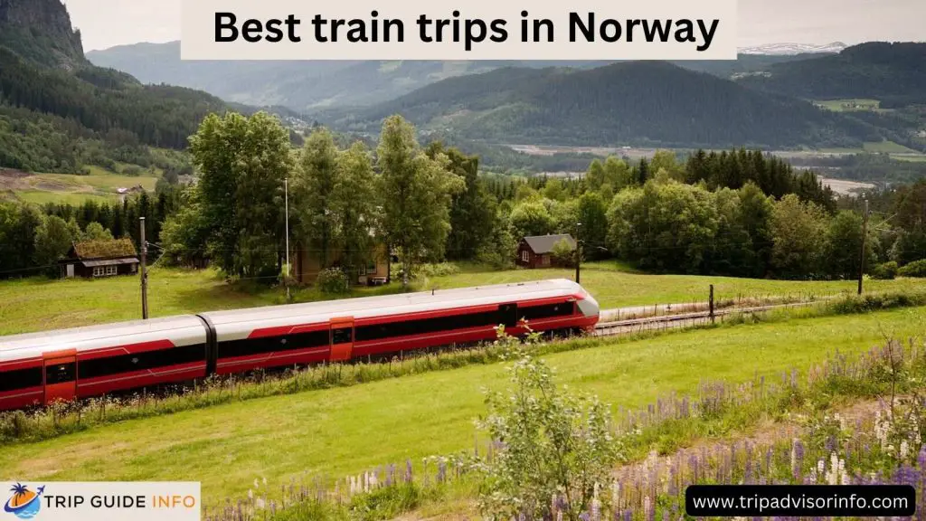 Best Train Trips in Norway