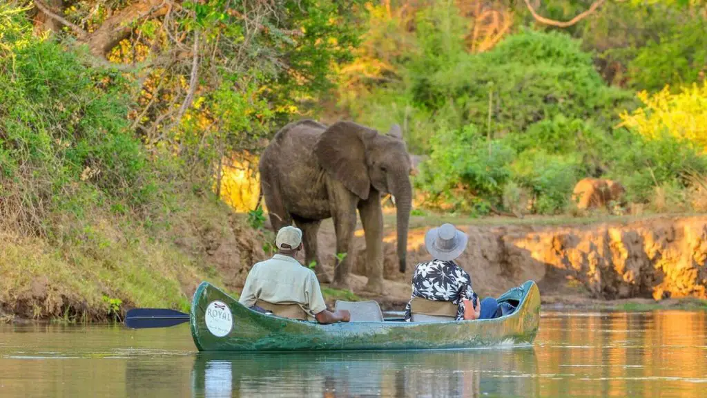 Canoeing Safari