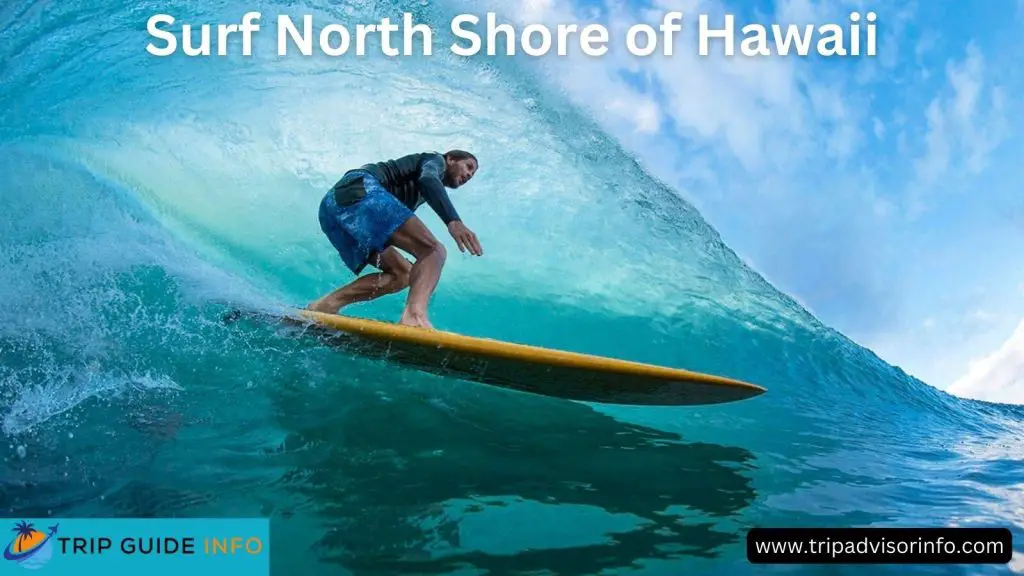 North Shore of Hawaii