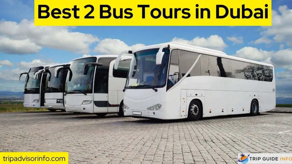 Best 2 Bus Tours in Dubai