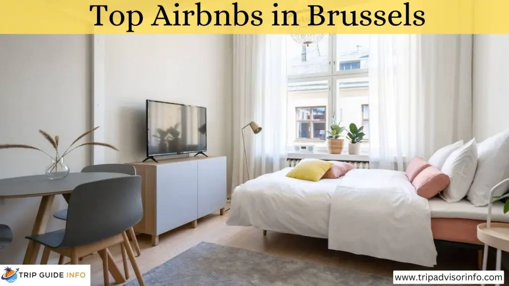 Best Airbnbs in Brussels, Belgium