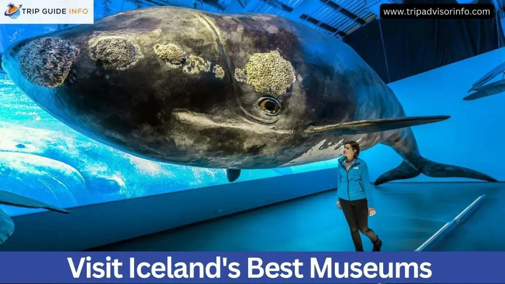 icelands best museums