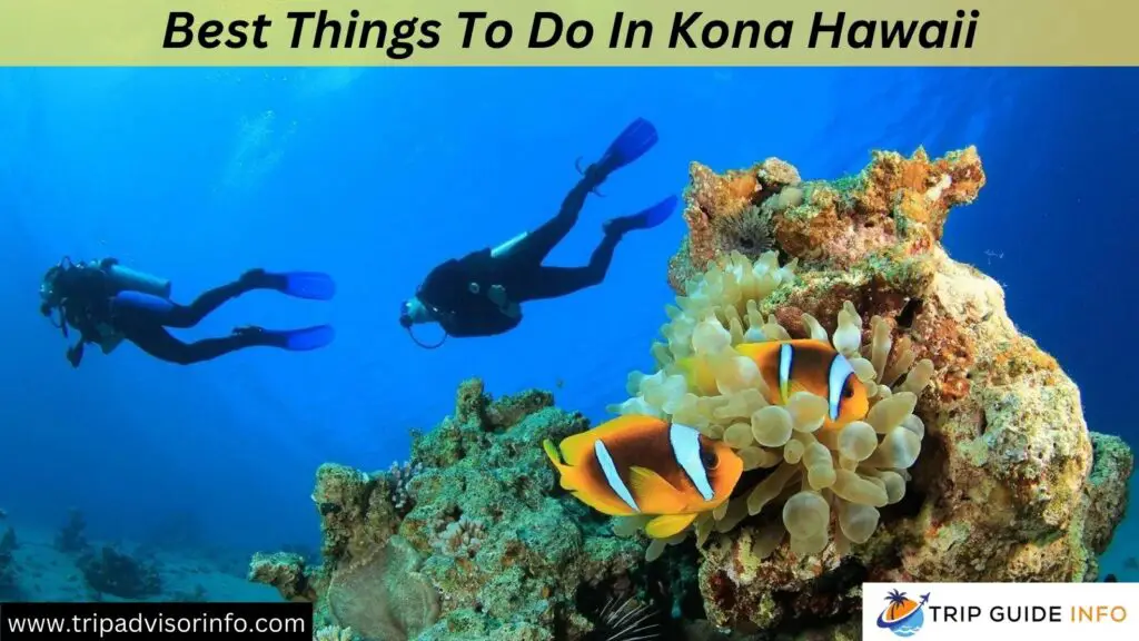 Best Things To Do In Kona